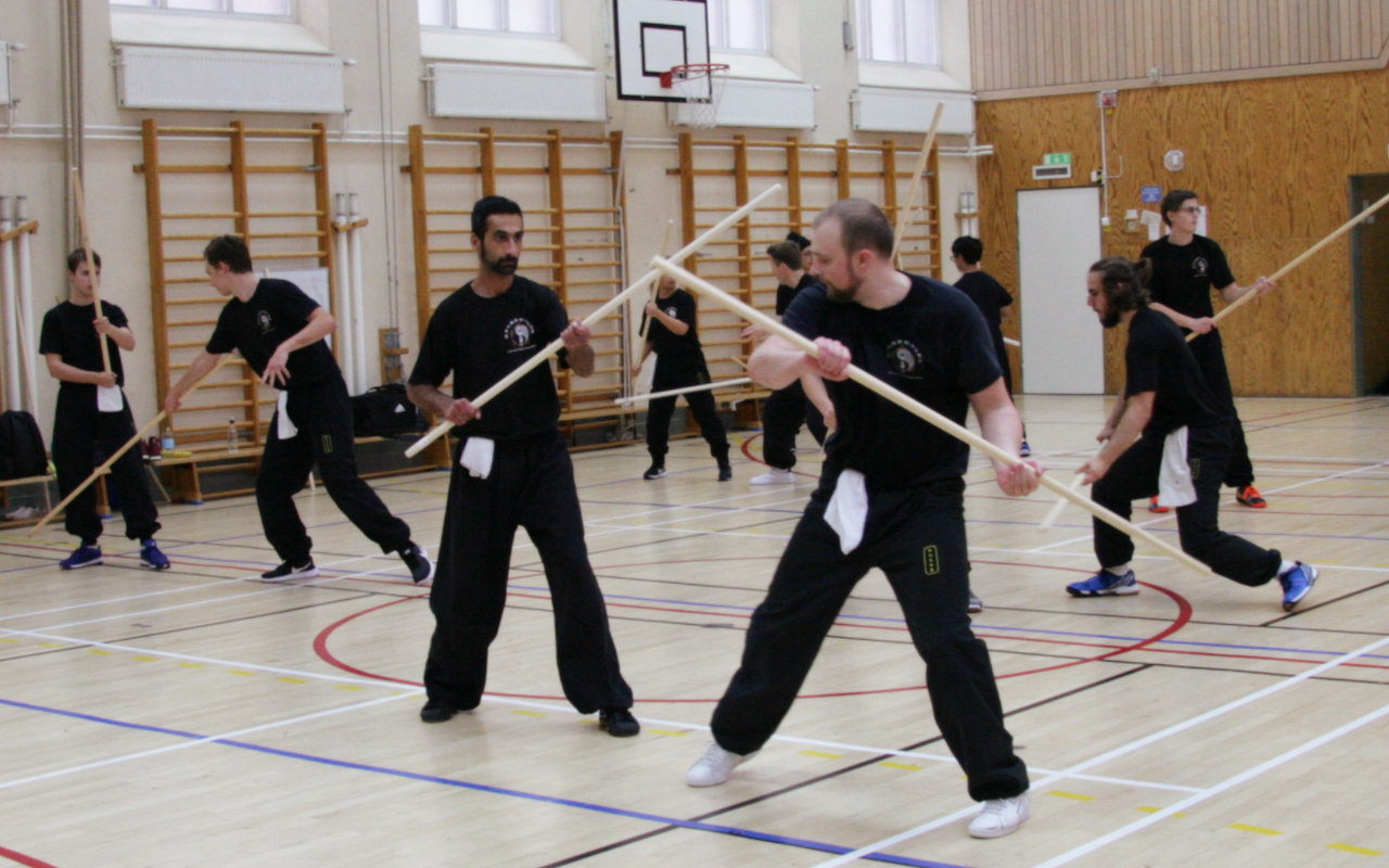 Da Sifu Louis Linn and students at a kun week end course.